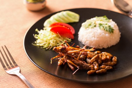 Manger des insectes est-ce bon pour la santé ?