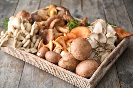 Les champignons : bienfaits, variétés et recettes gourmandes