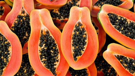La papaye : ce trésor tropical aux multiples bienfaits et utilisations