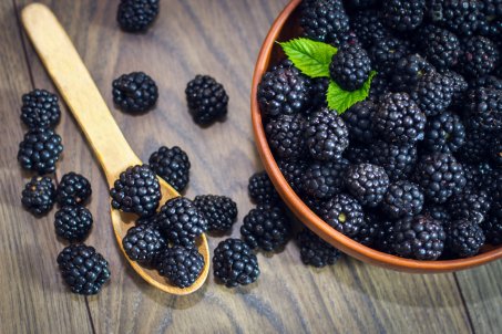 La mûre : guide complet sur ce petit fruit noir riche en saveur et en bienfaits