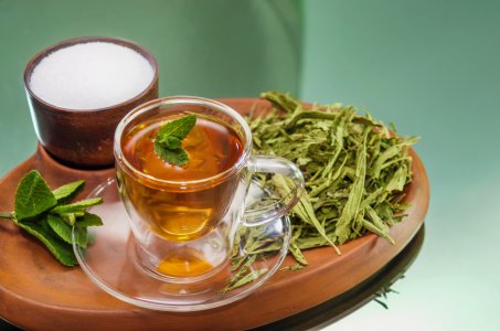 La stevia : un allié pour la perte de poids ?