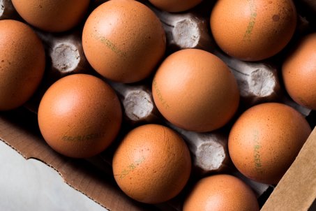 Comment choisir des œufs de qualité d'après Jimmy Mohamed !