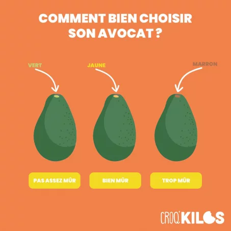 5 conseils pour savoir si votre avocat est mûr