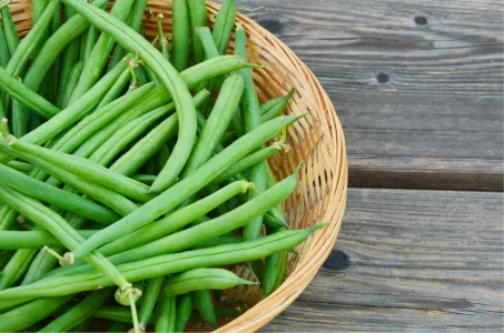 Bienfaits des haricots pour notre santé