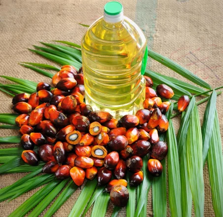 L’huile de palme, dangereuse pour la santé ?