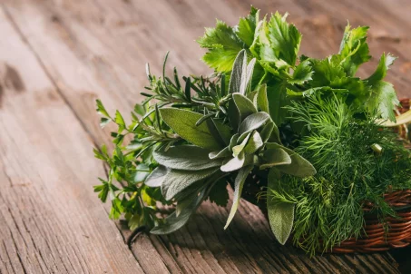 Les bienfaits des herbes aromatiques