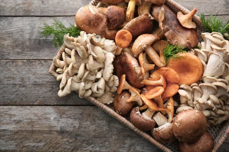 Les champignons et leurs bénéfices minceur