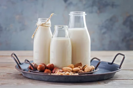 Tout savoir sur le lait végétal