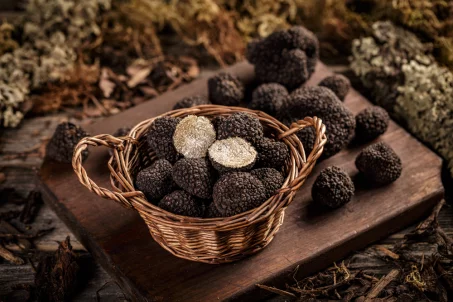 La truffe : tout savoir sur ce champignon star des fêtes