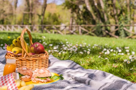 10 recettes légères pour un pique nique au soleil