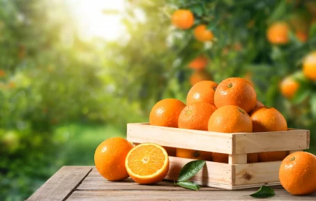 Tout savoir sur l'orange : un trésor de vitamines et bien plus encore