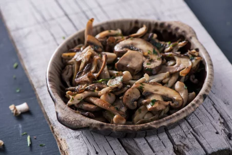 Le pleurote : intérêt et utilisation en cuisine de ce super champignon