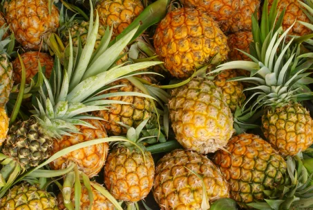 L'ananas : tout savoir sur les bienfaites de ce fruit 