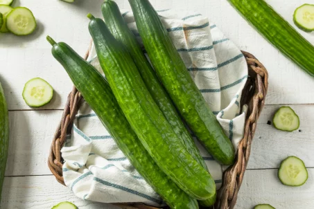 Le concombre : tout savoir sur ce légume vert aux bienfaits nutritionnels