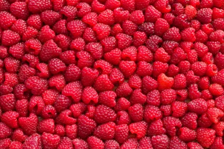 La framboise : bienfaits nutritionnels et recettes savoureuses