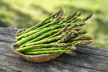 Tout savoir sur les asperges vertes : nutrition, bienfaits et recettes