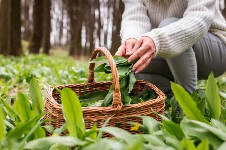 Un couple décède en mangeant une soupe : cette plante qu'il a confondue et qui lui a coûté la vie !