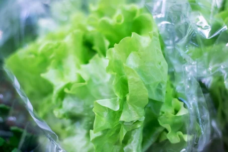 Comment bien conserver une salade en sachet ?