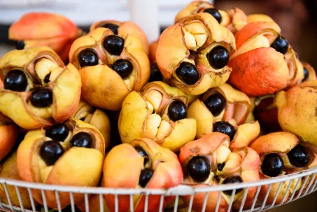 Découverte de l'aki : ce fruit peu connu aux multiples vertus