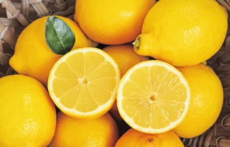 Citron : tout savoir sur cet agrume et comment l'intégrer dans vos recettes