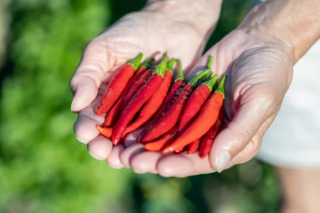 Les aliments qui provoquent le plus de brûlures d'estomac