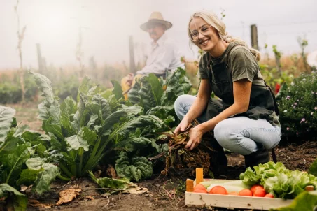 Comment bien entretenir son potager ?