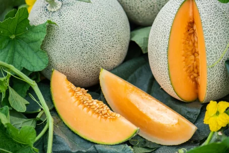 Manger du melon tous les jours cet été est-il bon pour la santé ?