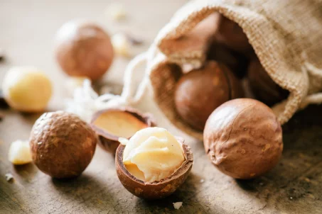 Les bienfaits des noix de macadamia 