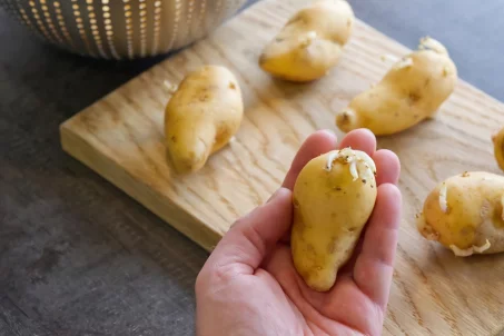 Comment utiliser des pommes de terre germées : astuces et précautions pour éviter le gaspillage