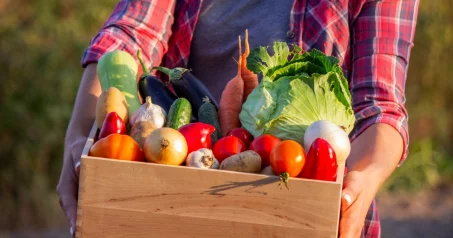 Comment la saisonnalité affecte-t-elle les habitudes alimentaires et le poids ?