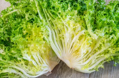 Les bienfaits de la frisée : une salade pleine de vertus