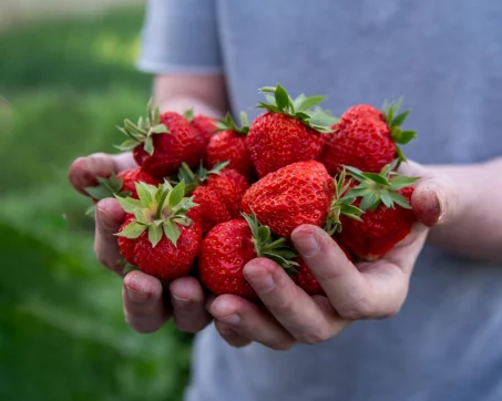 Est-ce que les fraises sont caloriques ?