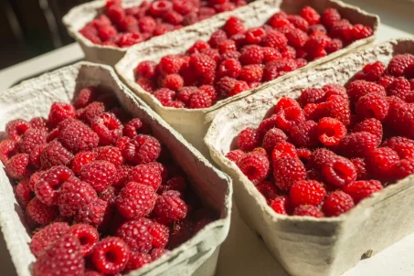 La framboise est-elle calorique ?