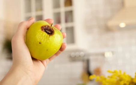 Encourt-on un risque à manger un fruit ou un légume en partie moisi ? La réponse surprenante d'un virologue !