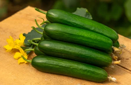 Les légumes de saison du mois de septembre