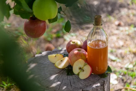 La pomothérapie : un guide complet pour comprendre et intégrer les bienfaits des pommes dans votre quotidien