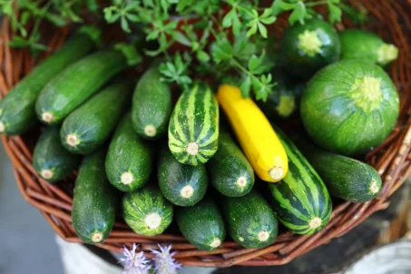 La courgette est-elle calorique ? 