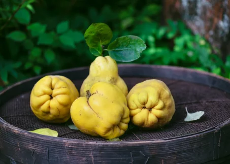 Les fruits de saison du mois d'octobre 