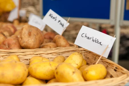 À quelle fréquence faut-il manger des féculents ?