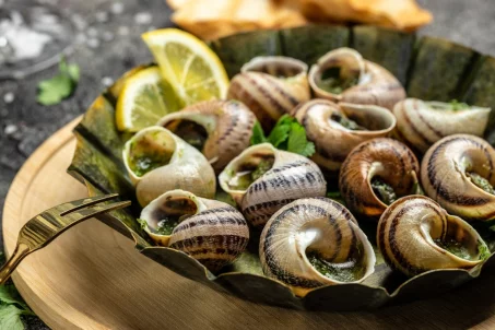 Comment cuisiner les escargots : recettes et techniques