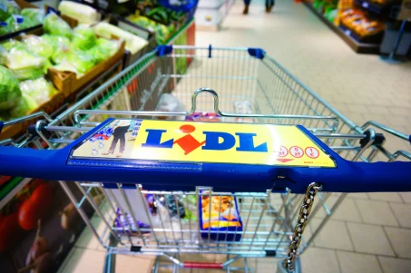 Courses à petit prix chez Lidl : 20 euros pour une semaine équilibrée