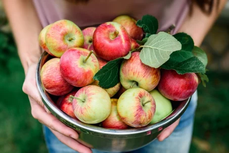 5 bonnes raisons de manger des pommes