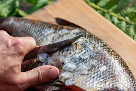 Comment bien écailler un poisson ?