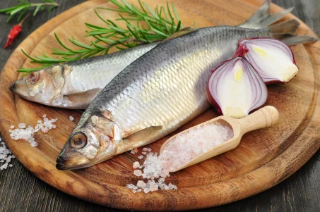 Top 5 des poissons pour lutter contre le cholestérol