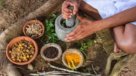 Les bienfaits des plantes ayurvédiques