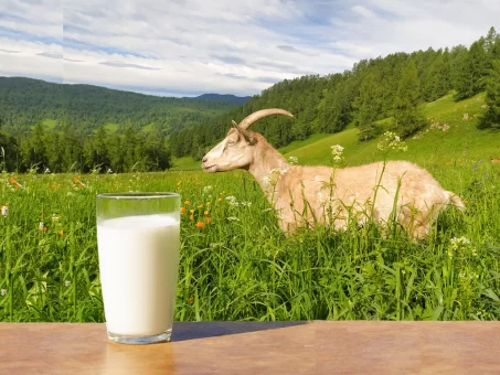 Les bienfaits du lait de chèvre