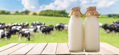 Les bienfaits du lait de vache