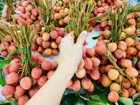 Comment bien choisir ses litchis au supermarché ?