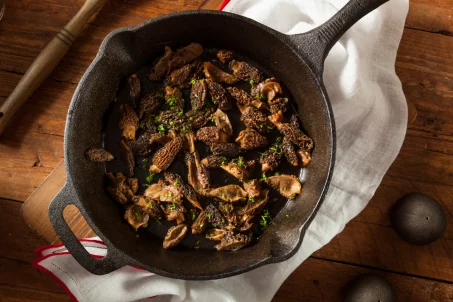 10 recettes légères aux morilles