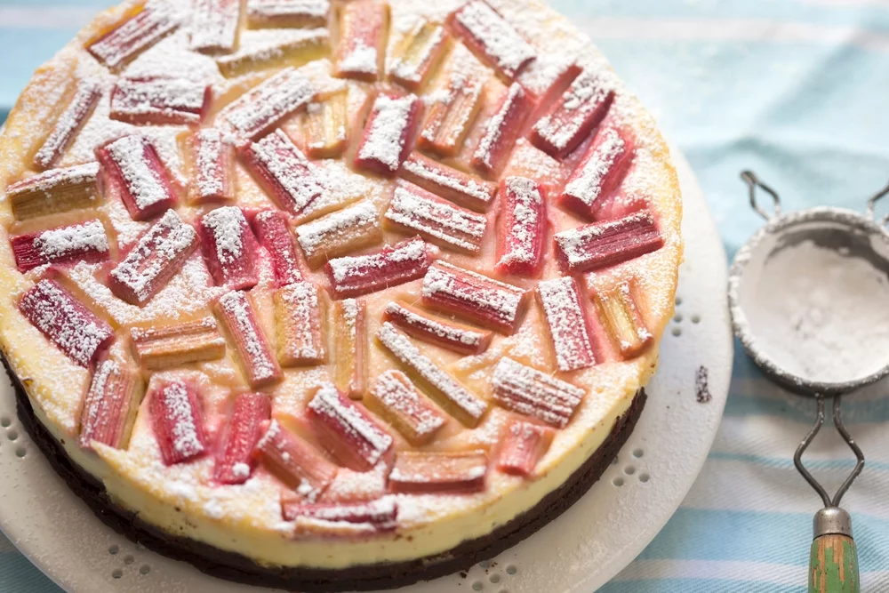Recette Cheese-cake à la rhubarbe